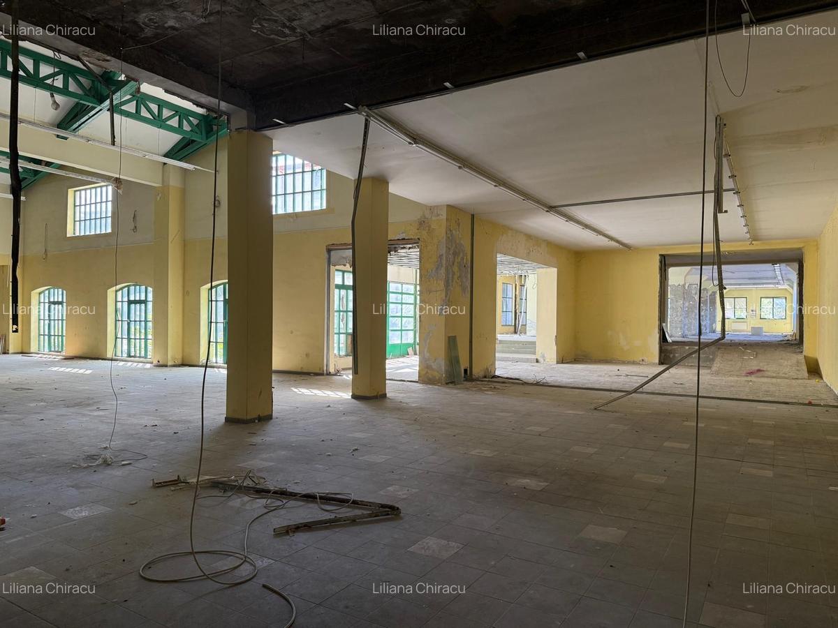 PROPRIETATE UNICA IN BUCURESTI - 5660 MP, TEREN 4736 MP - "VIILOR" - 9