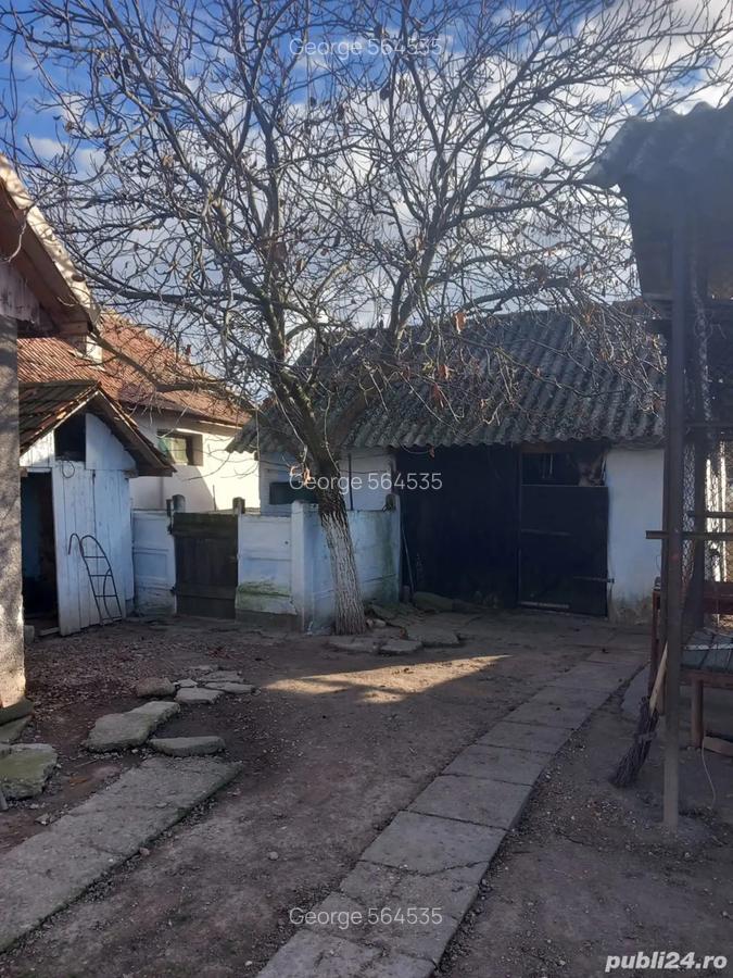 Vand casa Cociuba Mare Bihor - 4