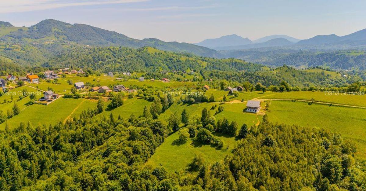 Teren extravilan 2,000mp Pestera / cabana vacanta/natura - 17