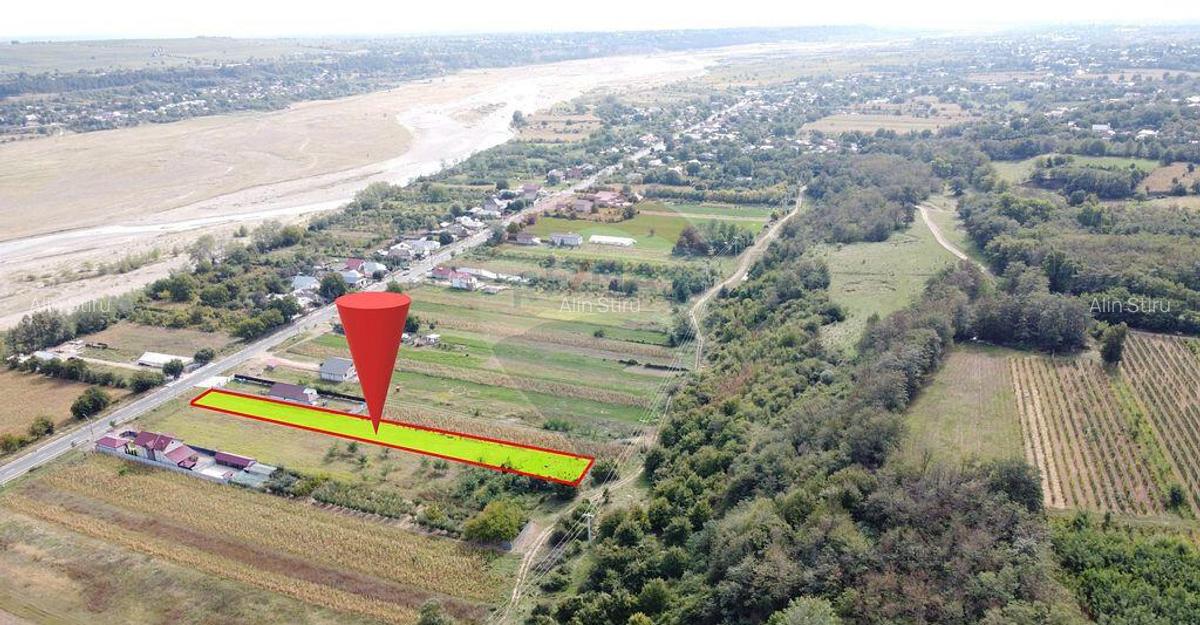 Teren Comuna Bolotesti - 8