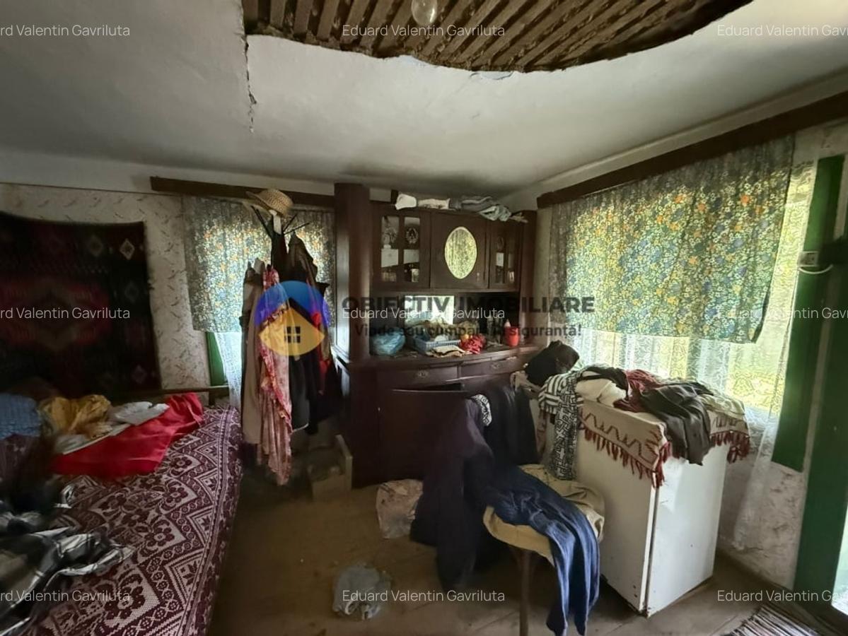 Casa batraneasca / Piatra Neamt / Pentru iubitorii de natura - 20