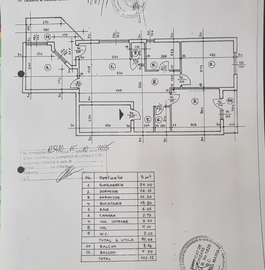 DOROBANTI- FLOREASCA - 8