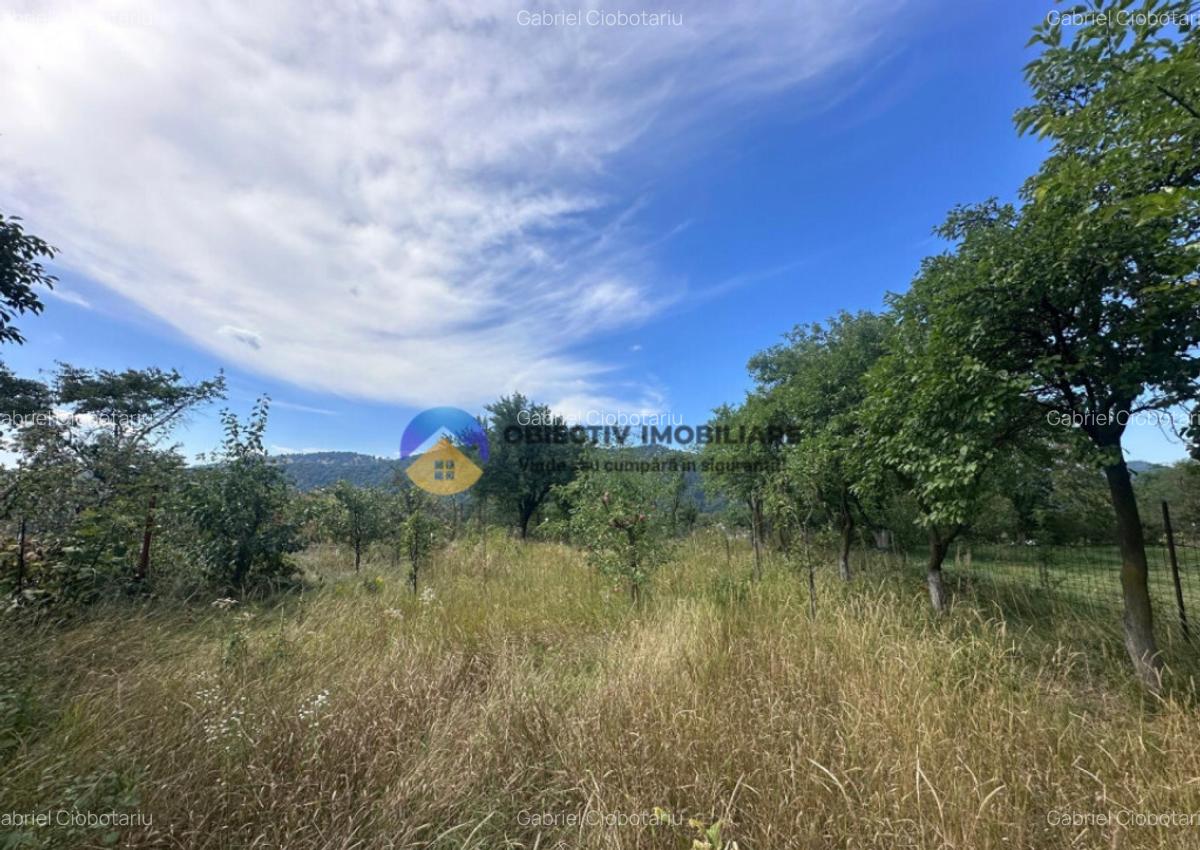 Teren + Casa de Vanzare 1170 mp Dumbrava Ro?ie, N - 10