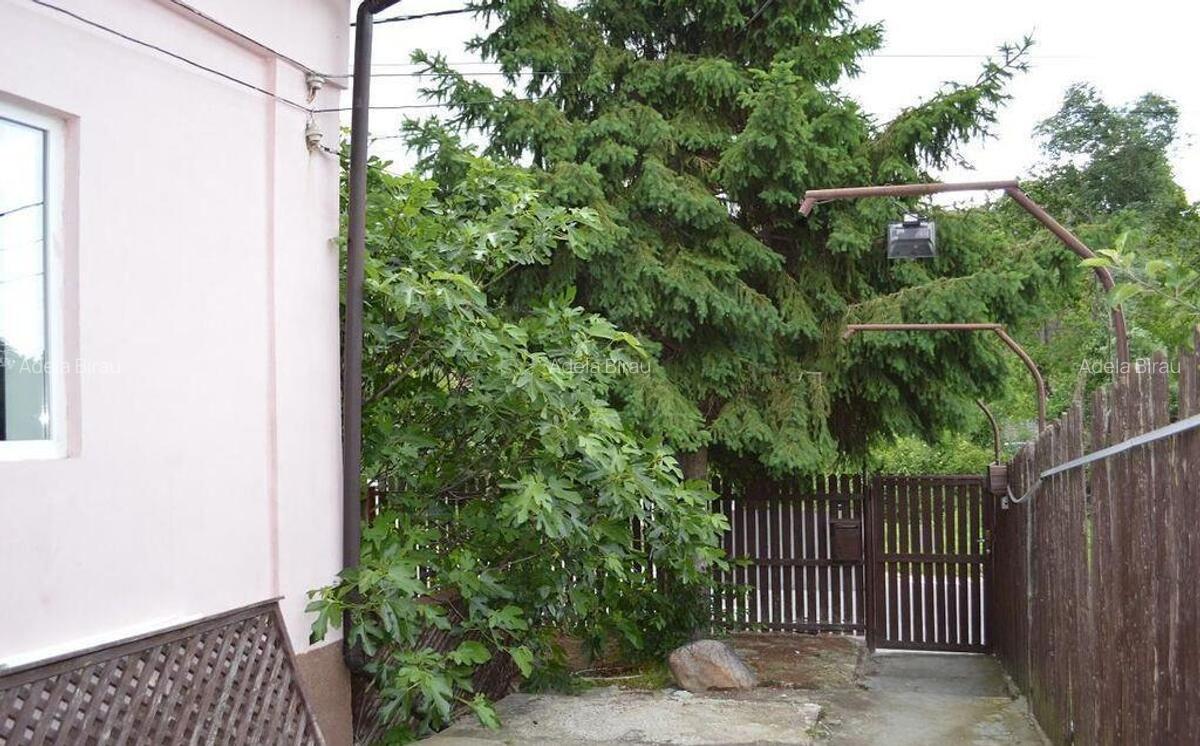 Stefanesti - Izvorani, casa 3 camere, teren 250 mp, beci - 6