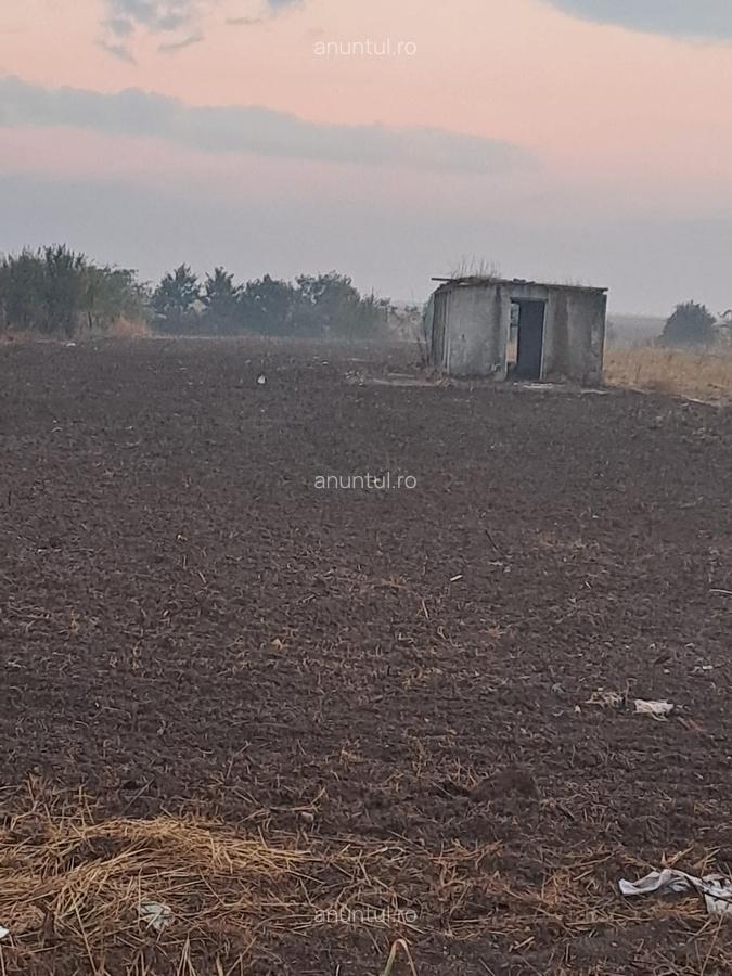 Ogrezeni Giurgiu - 3