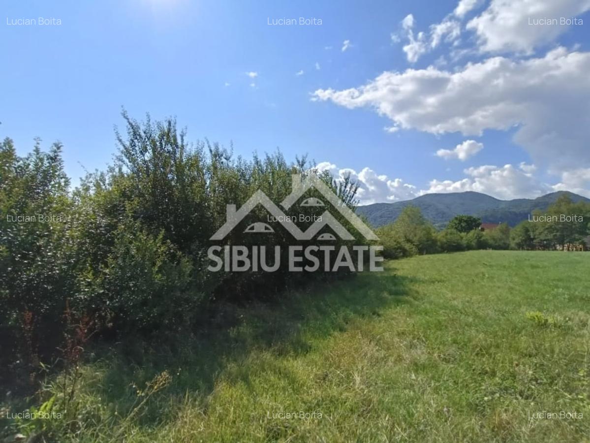 Teren  construibil ,la sosea, intre Vale si Sibiel, zona cu potential - 7