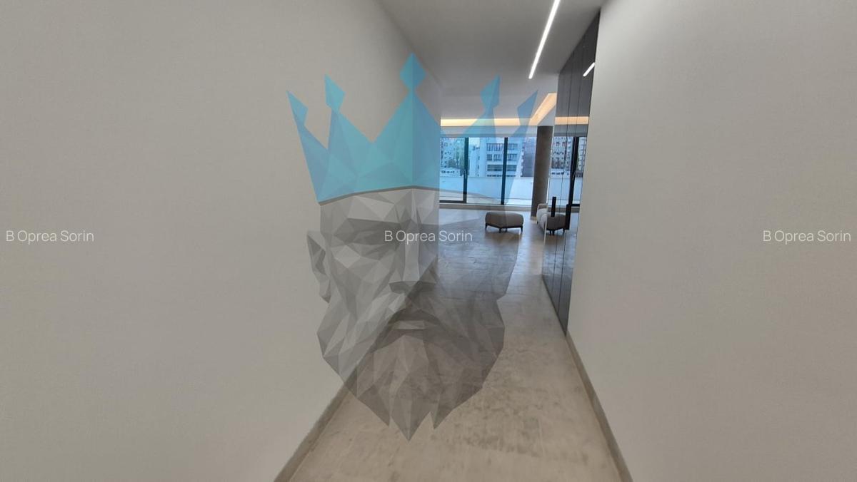 Penthouse 4 Camere Kiseleff Bucuresti - 24