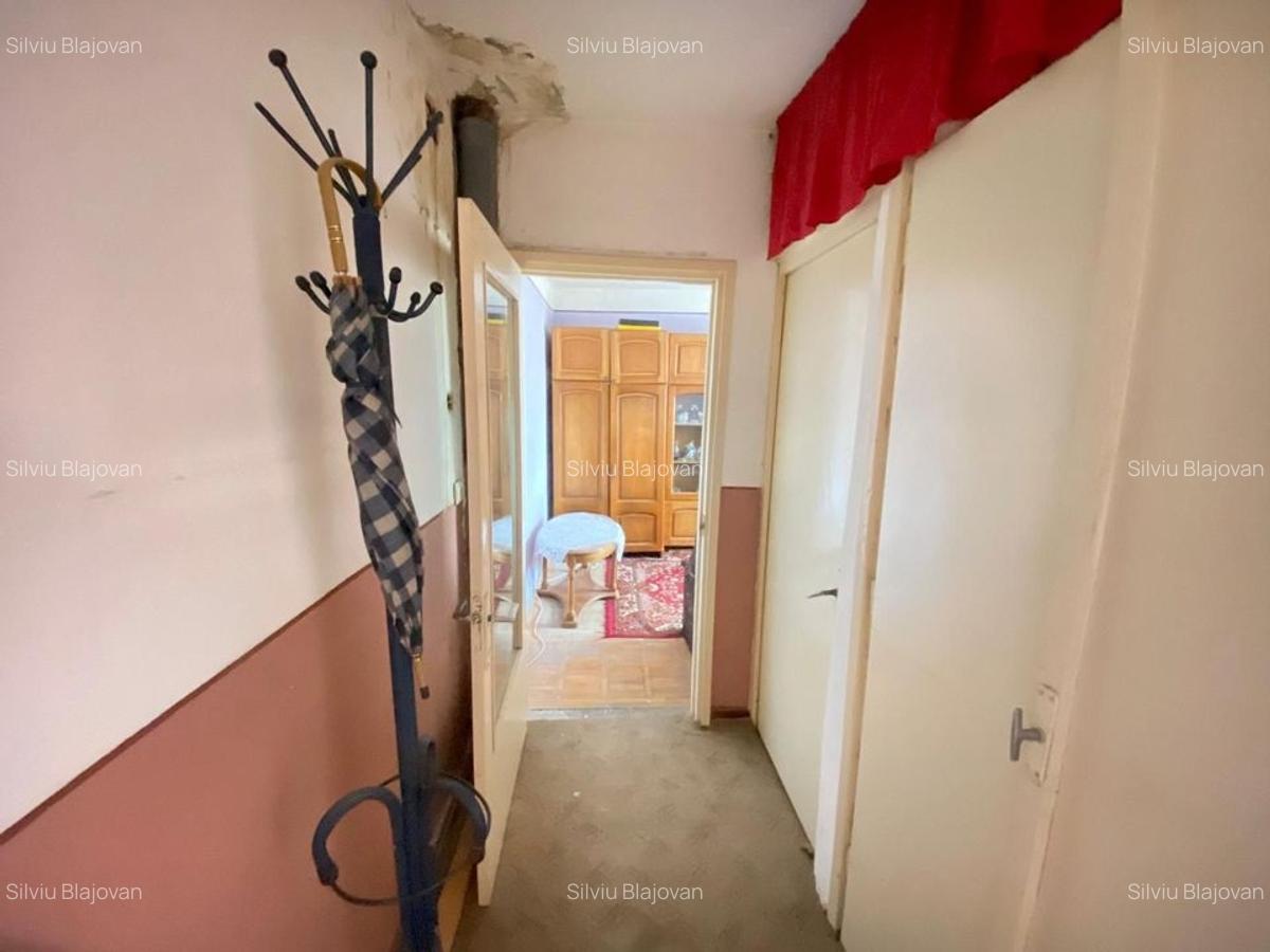 Apartamente de vânzare Lugoj - 2