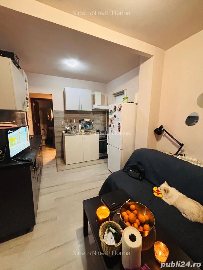 Apartament 2 camere Traian parter - 2