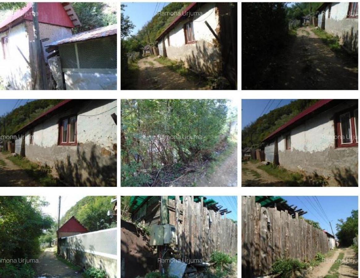 Casa si teren-Cugir, judetul Alba - 3