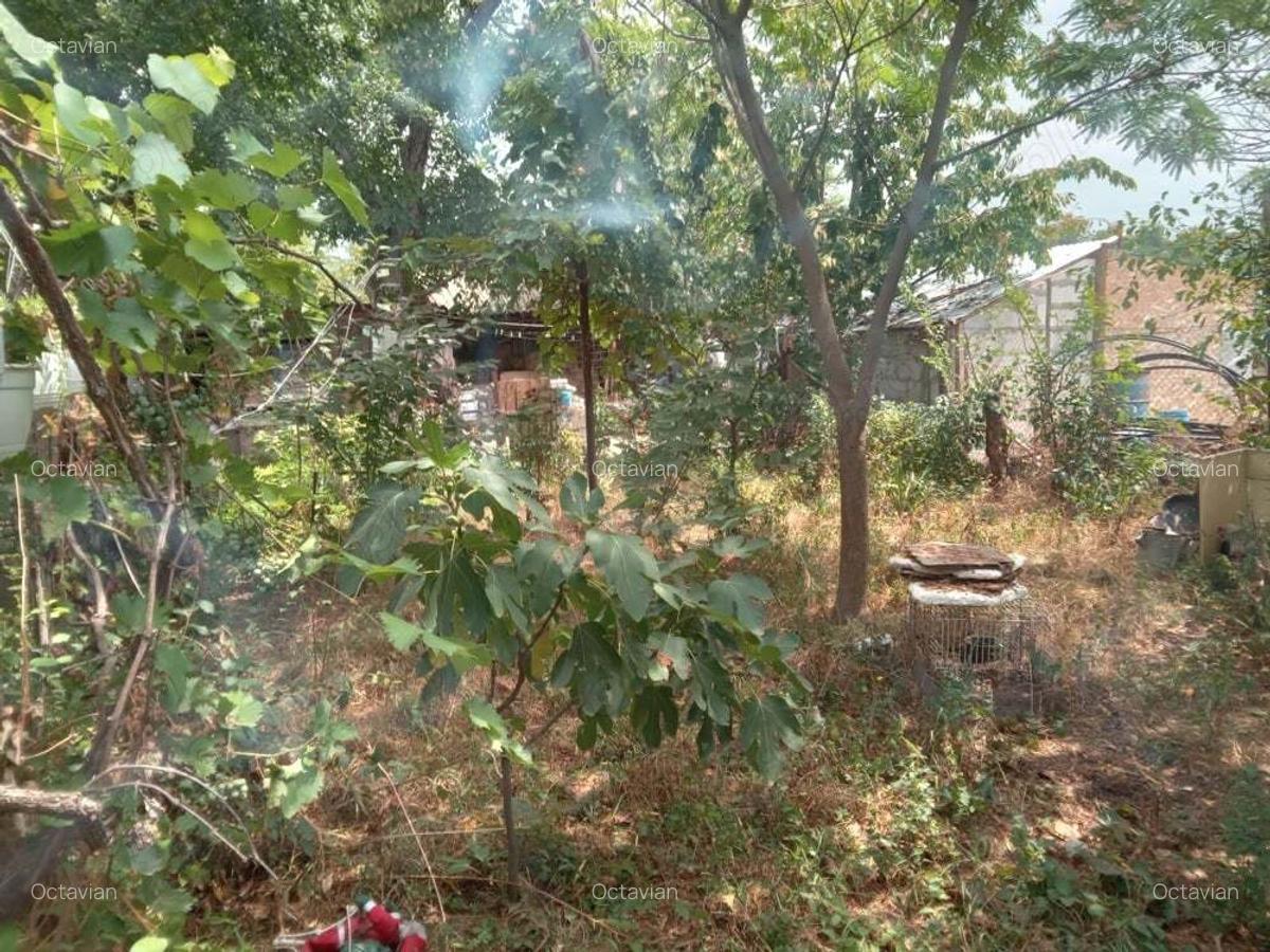 Casa de vanzare+1000 mp teren, la tara - 4