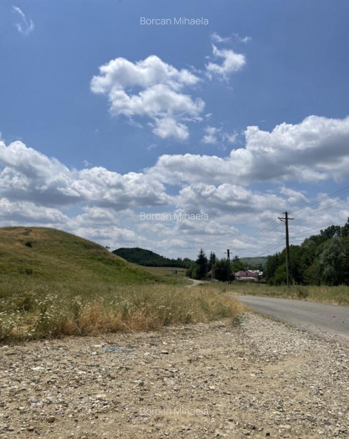 Casa + teren extravilan Glodu (Calinesti), Arges - 18