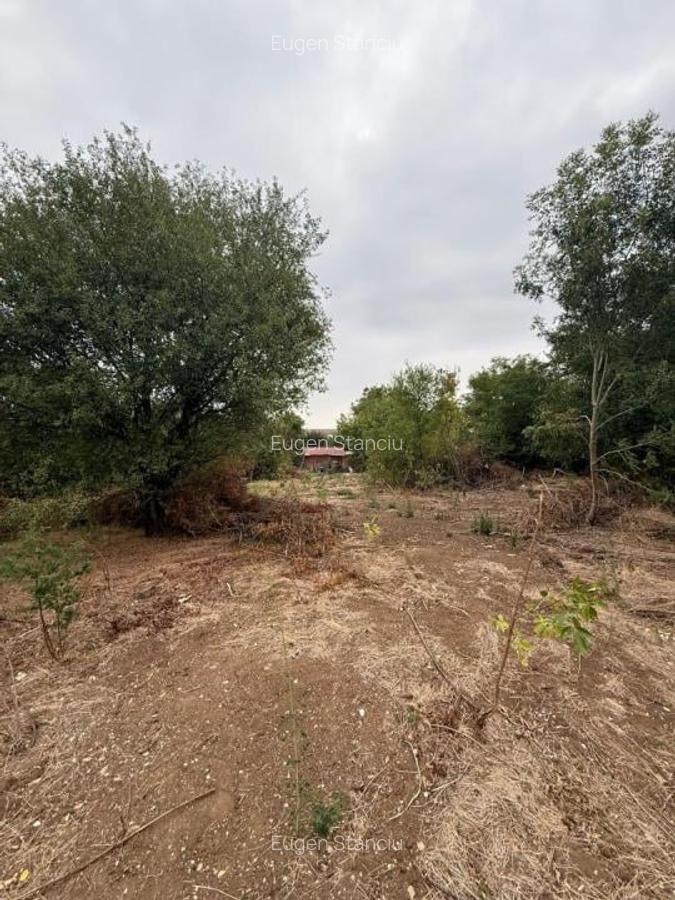 Teren de vanzare 716mp Dudu-Rosu, Chiajna, langa Padurea Roso - 2
