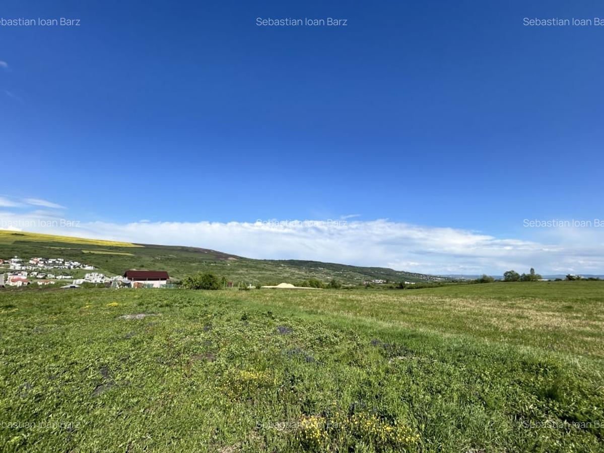 Teren Valea Chintaului / Cluj 5.547mp  parcelabil - 6