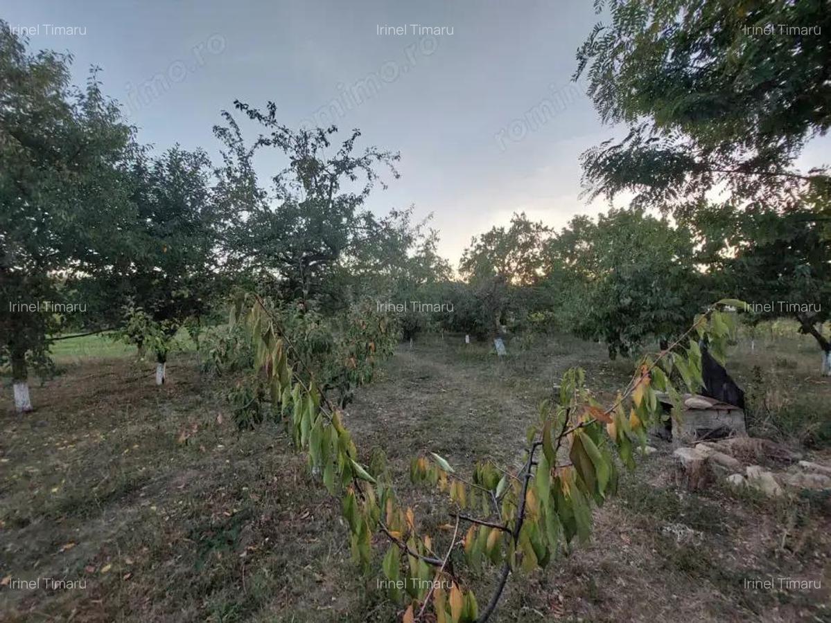 Casa batraneasca bine intretinuta in Bahna - 10