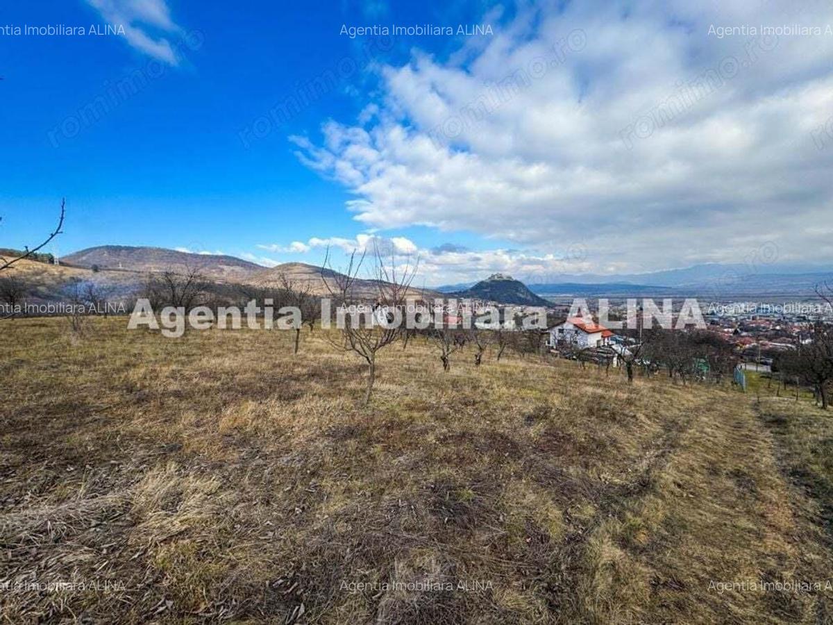 15 parcele de Teren intravilan in Deva, zona Calugareni, Strada Prunilor, Jud. Hd, cu PUZ, PUD, etc. - 8