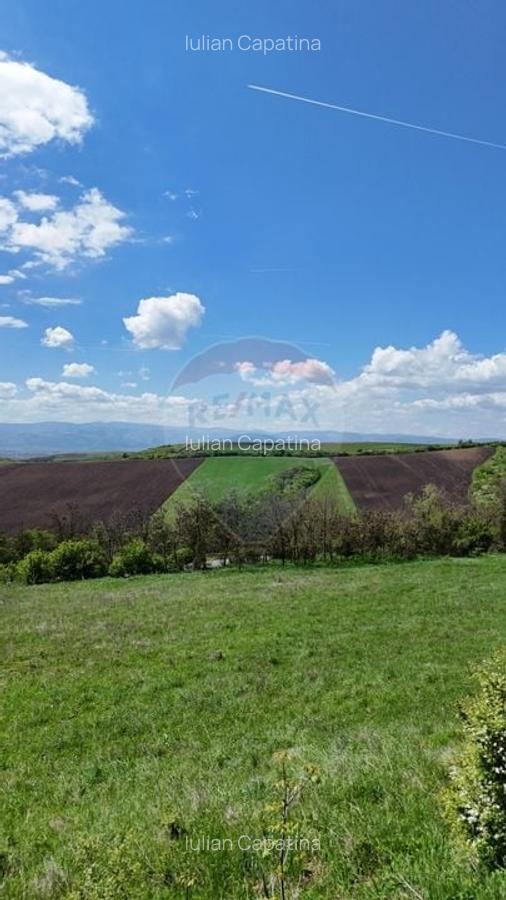 Teren  intravilan 1000 mp Sura Mare  dj 14  str Brazilor - 6