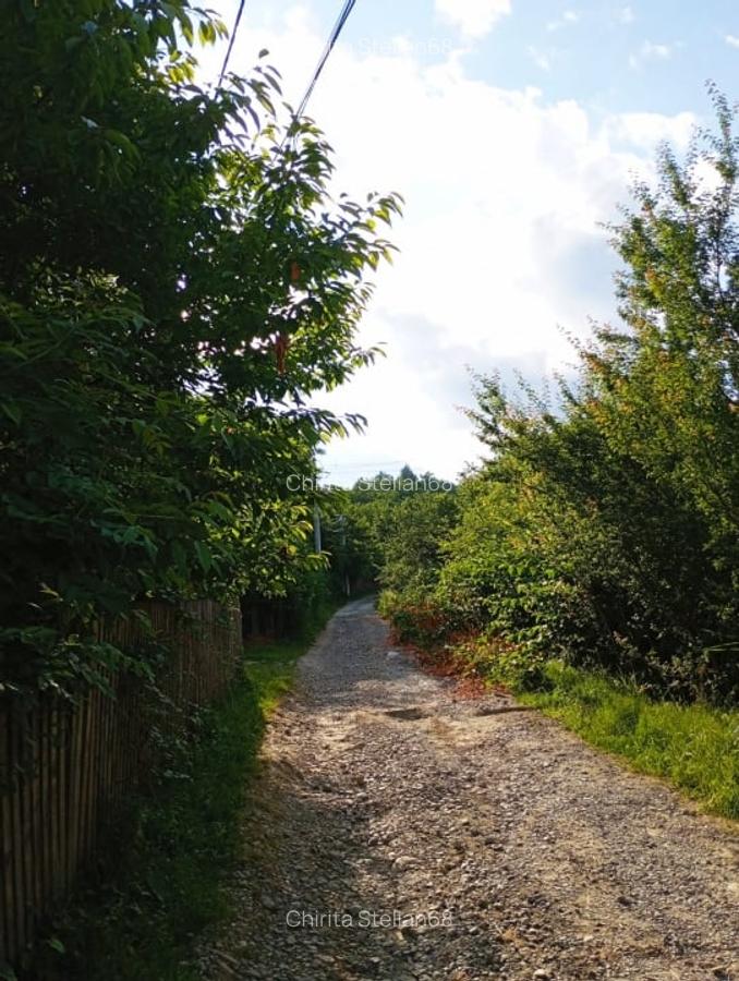 Casa de vanzare cu teren 3100 mp in Breaza de Jos, Prahova - 28