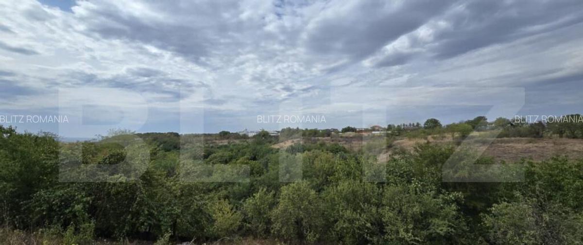 Teren 579 mp si deschidere de 14 ml, zona Carcea - 1