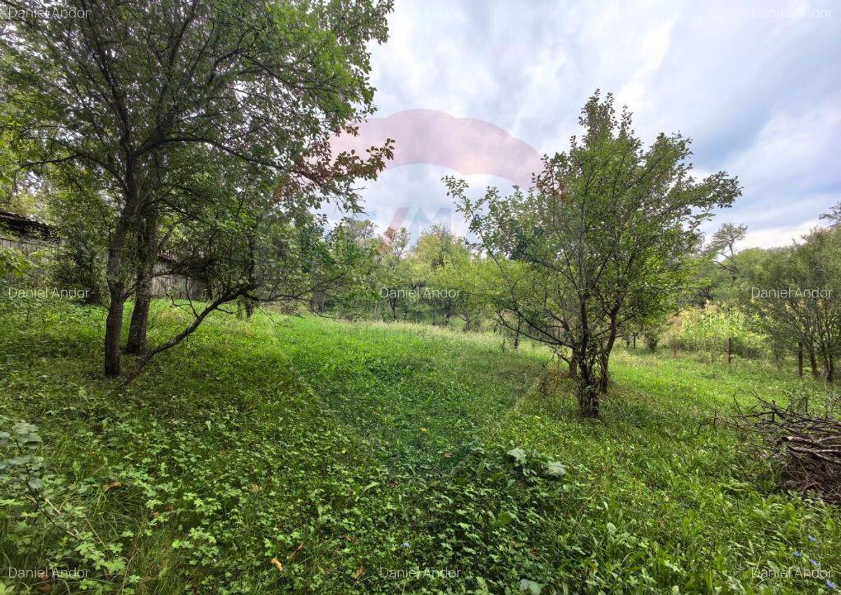 Casa traditionala De Vanzare cu 5 Hectare de teren - 14