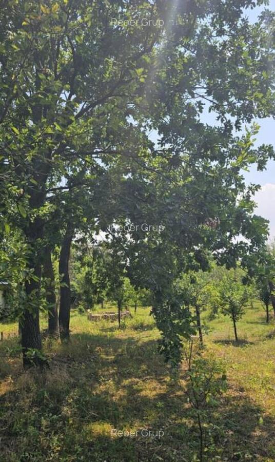 Intravilan 572 mp , loc de casa , zona padure Baicoi Prahova - 16