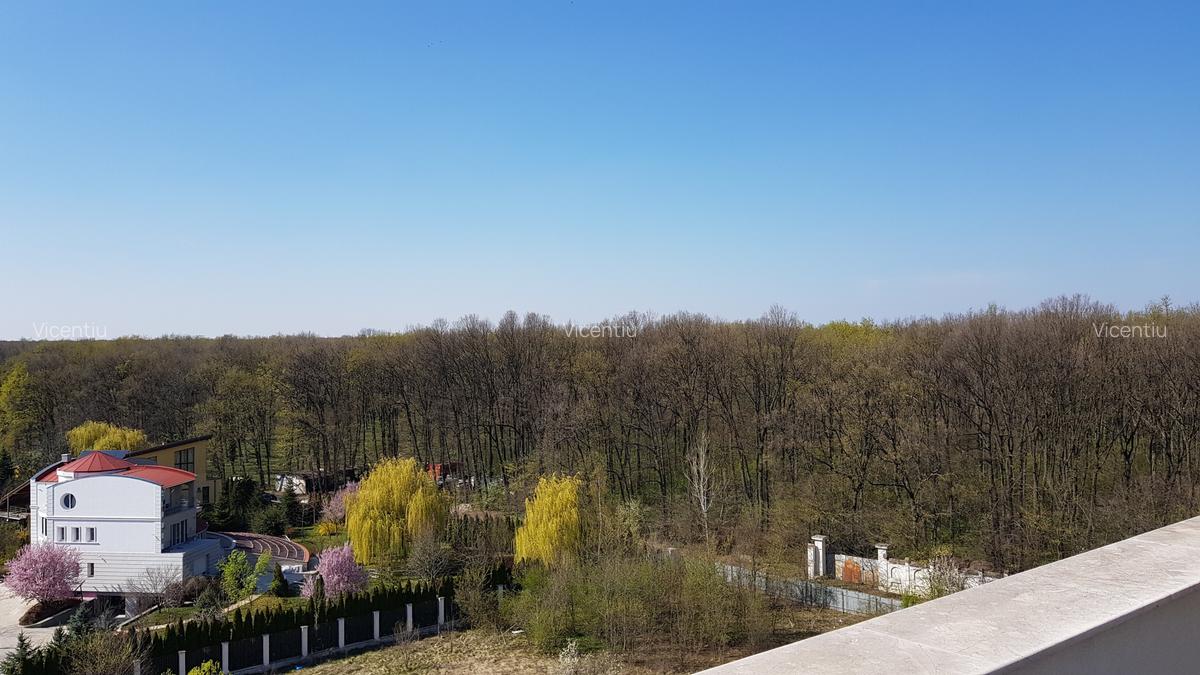 Pipera/Matei Basarab/ Penthouse cu 4 camere/ Parcare/ - 11
