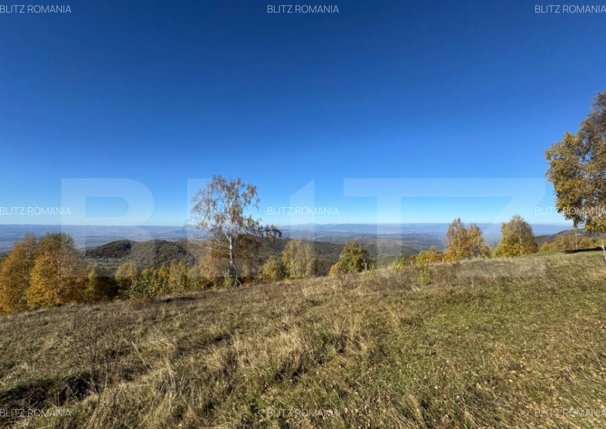 Teren extravilan 6.360 mp in Tarsa - 2