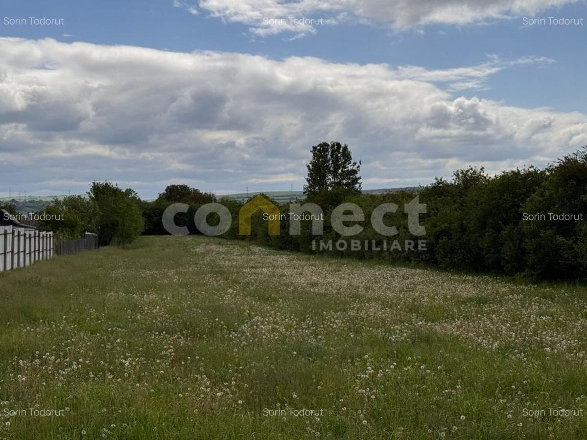 Teren de vanzare pentru casa/duplex | Jucu de Mijloc |  1704 mp - 3