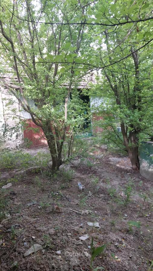 Vand casa cu teren Socodor , jud.Arad - 4