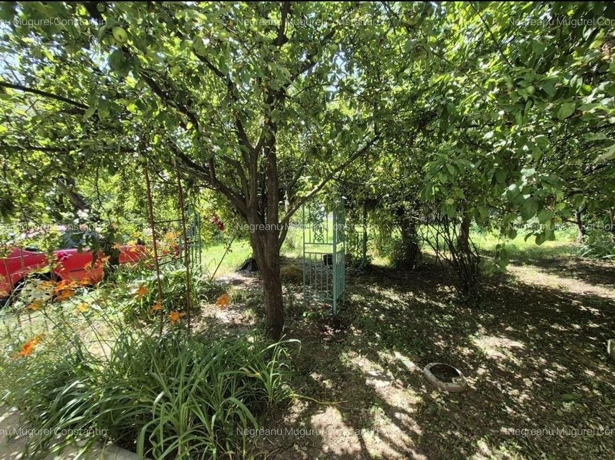 Casa Subsol+Parter +Mansarda 185 mp si teren intravilan 1670mp-Prahova - 34