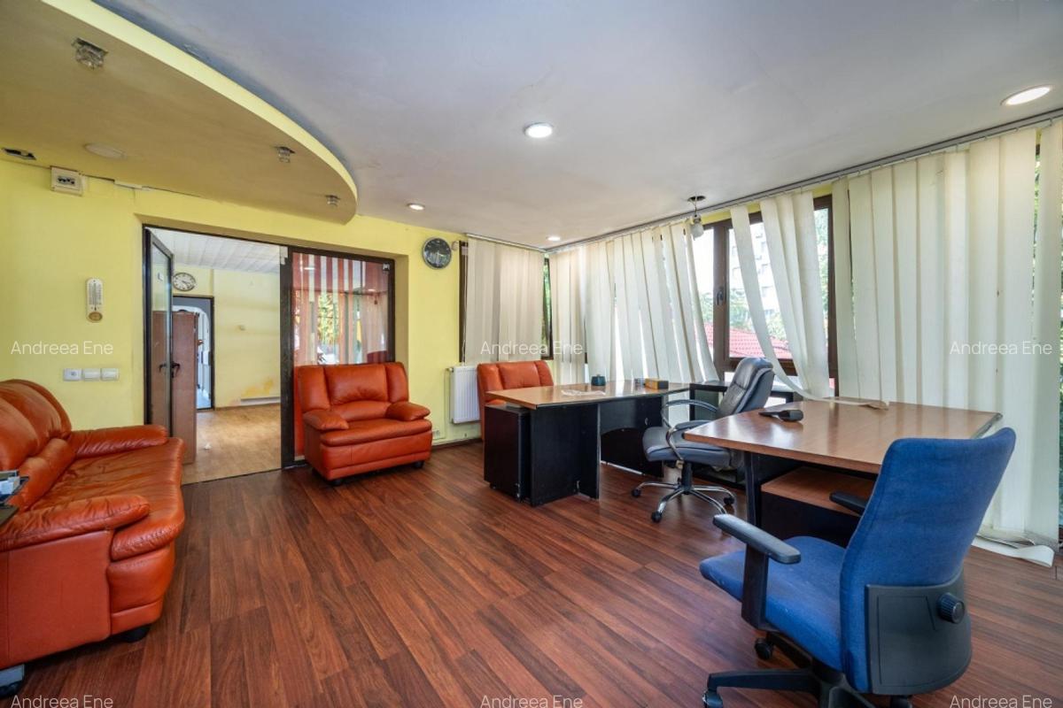 Inchirieri Spatii Comerciale - 28