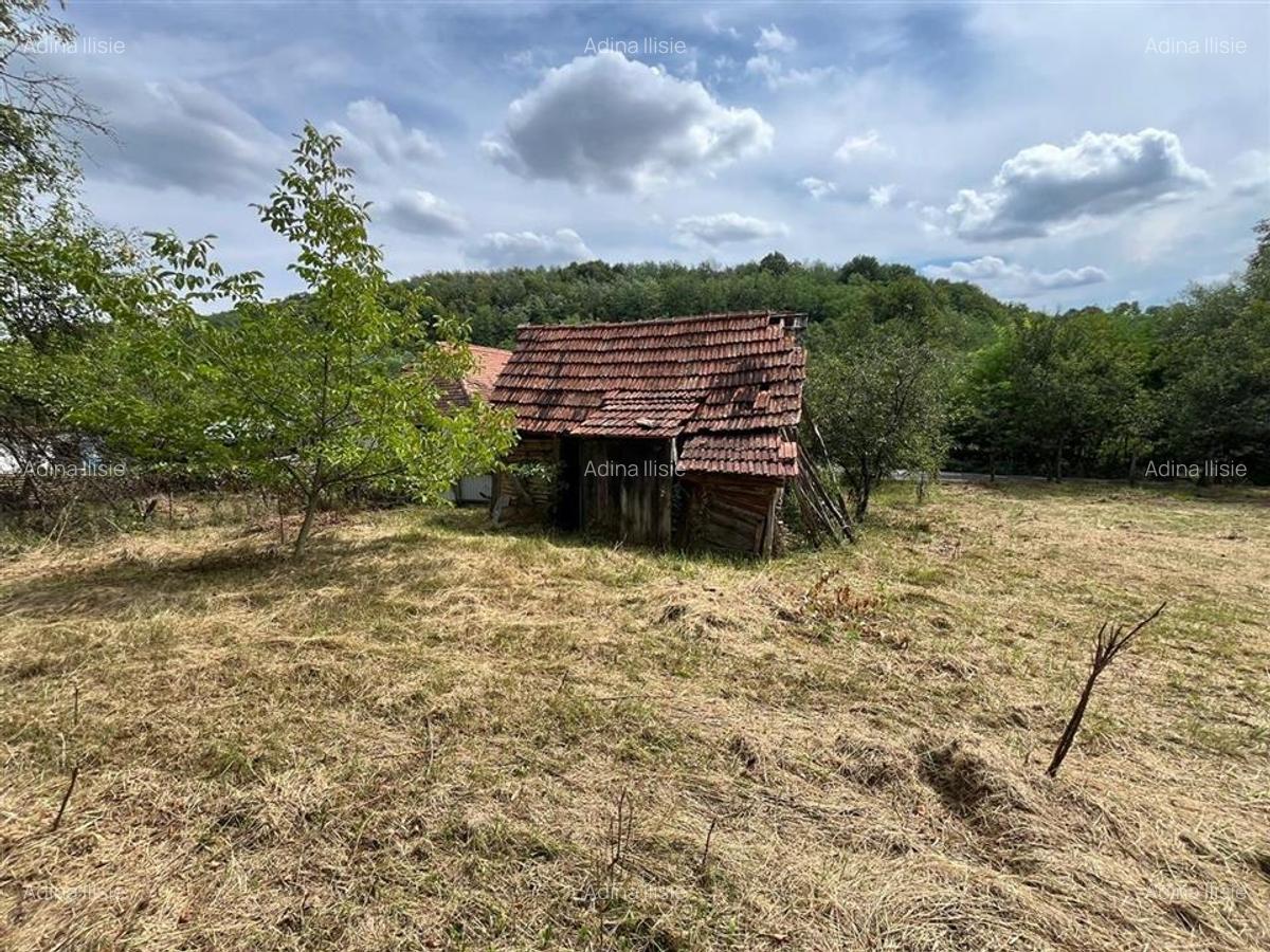 RECO Casa batraneasca cu teren generos la Lupoaia -Holod - 17