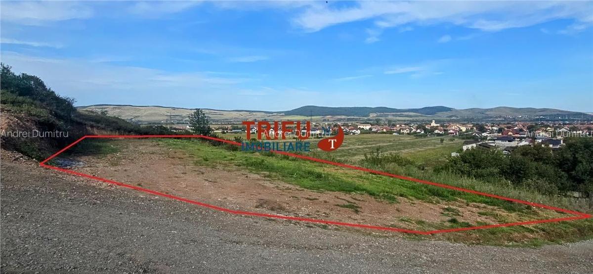 Teren pretabil casă de vacanță, Strada Pădurii în Alba - 2