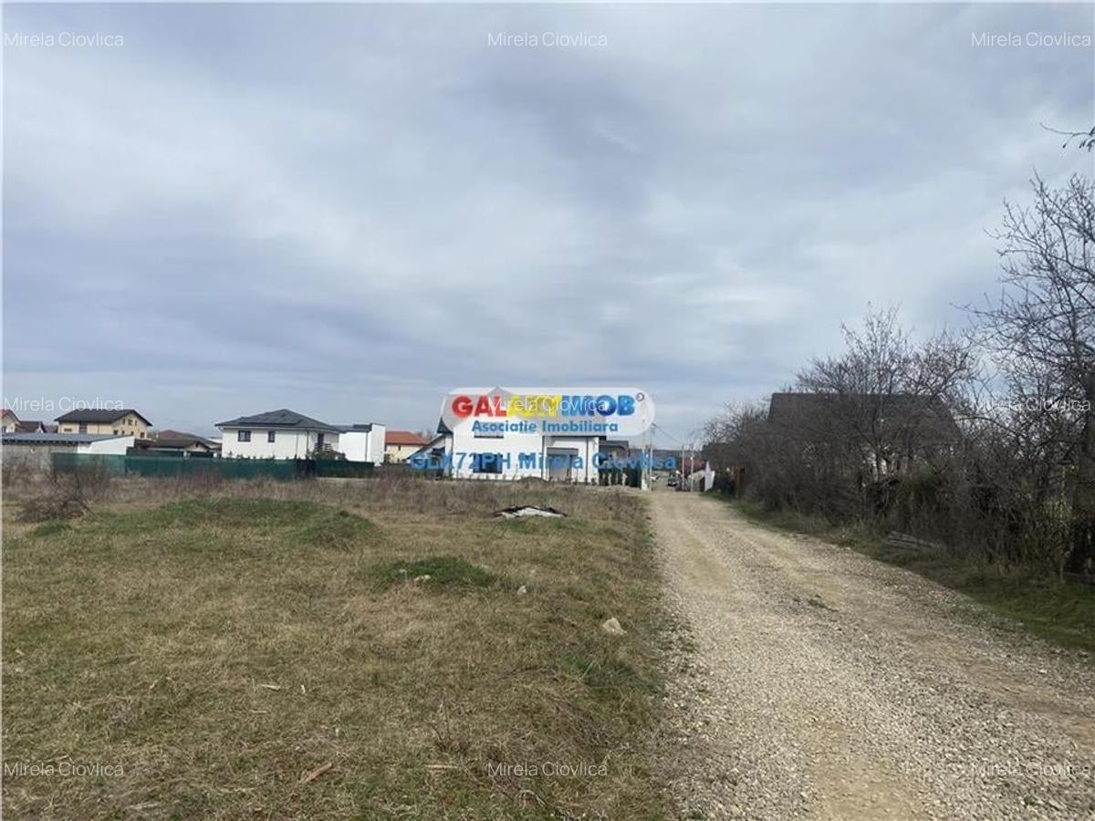 Vanzare teren intravilan Baicoi Prahova zona Liliesti - 1