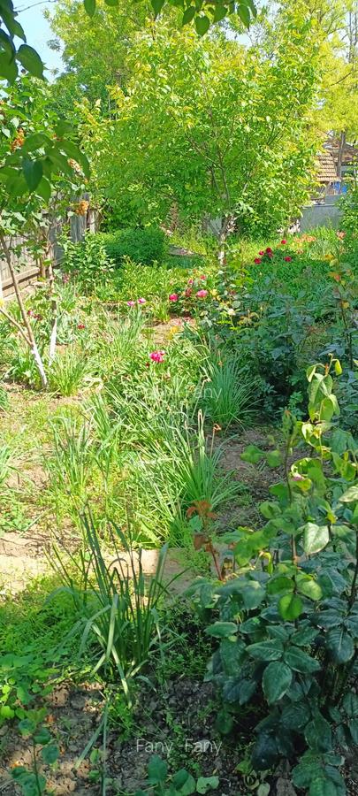 Vand-schimb casa mutare imediat - 6