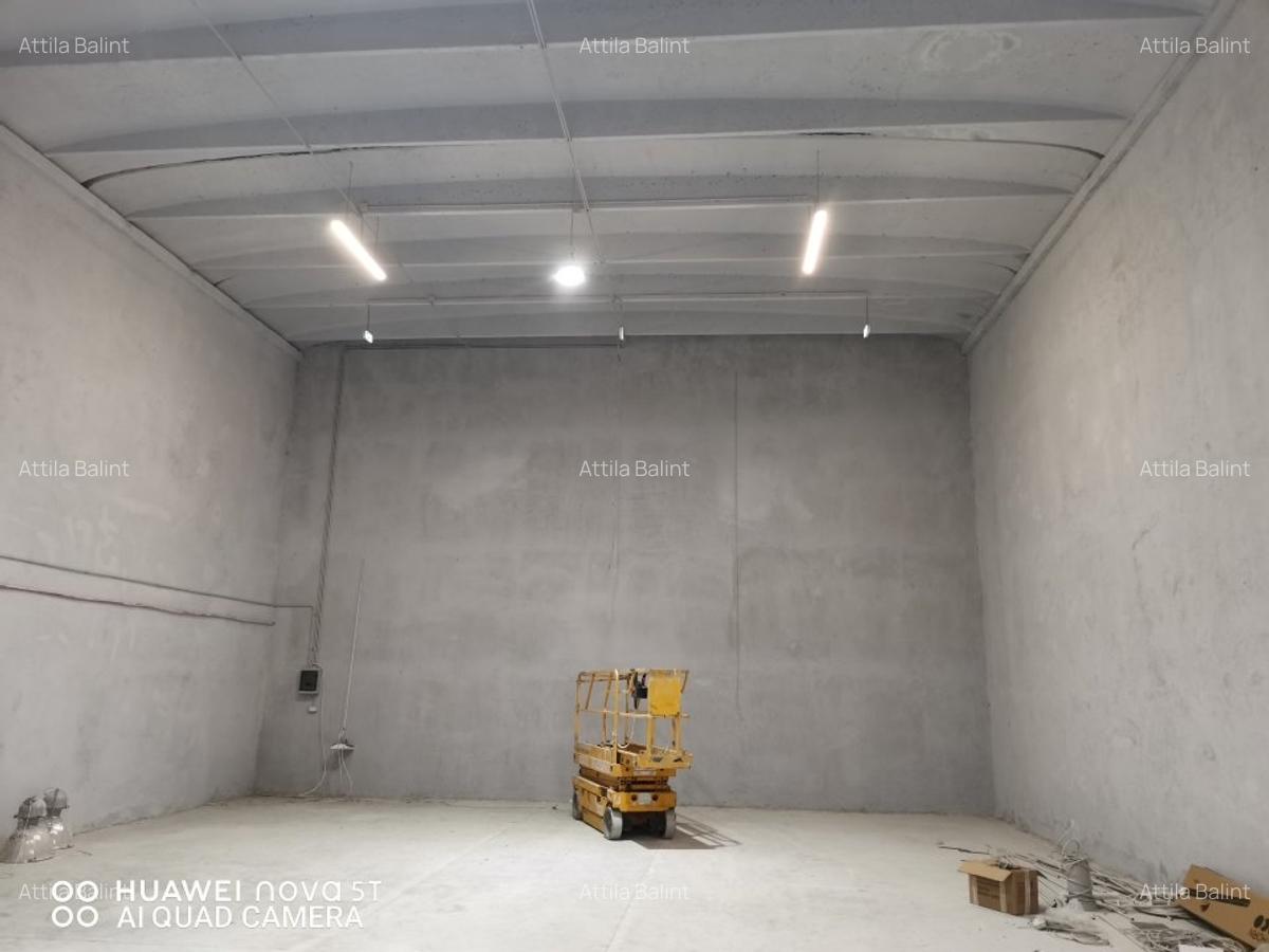 Inchiriez hala 209 mp in Giarmata Mare 5.5 euro/mp + TVA - 12