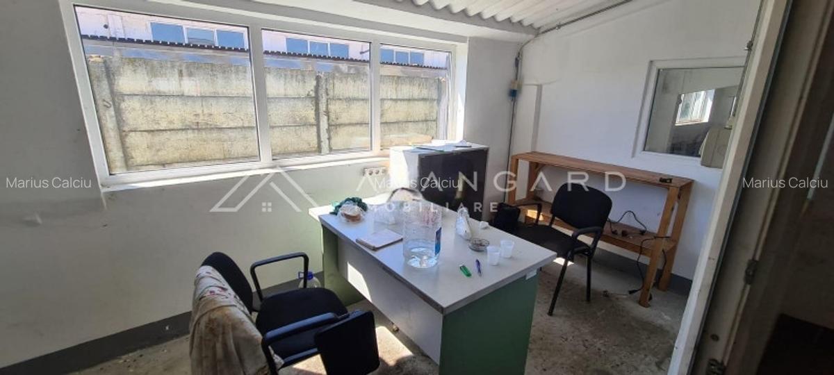 Spatiu Industrial/Hala | 1060 mp utili | Oiejdea (Alba) - 9