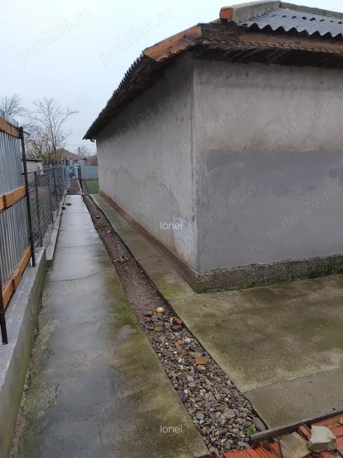 Casa de vanzare in Manasia - 1