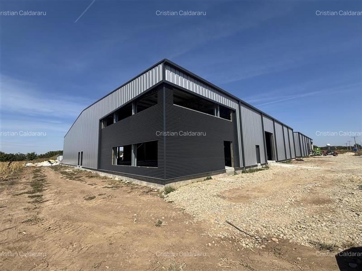 Inchiriere depozit/hala/spatiu industrial Mogosoaia - Buftea - 2