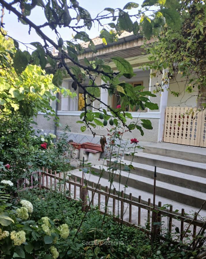 Casa in Zorleni la 5 km de Barlad - 4