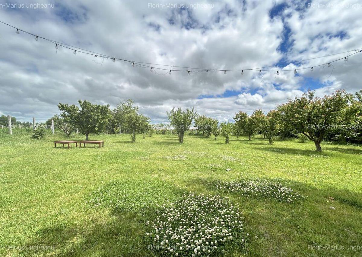 Casa P+M ideala pentru 2 familii aproape de Techirghi... - 16