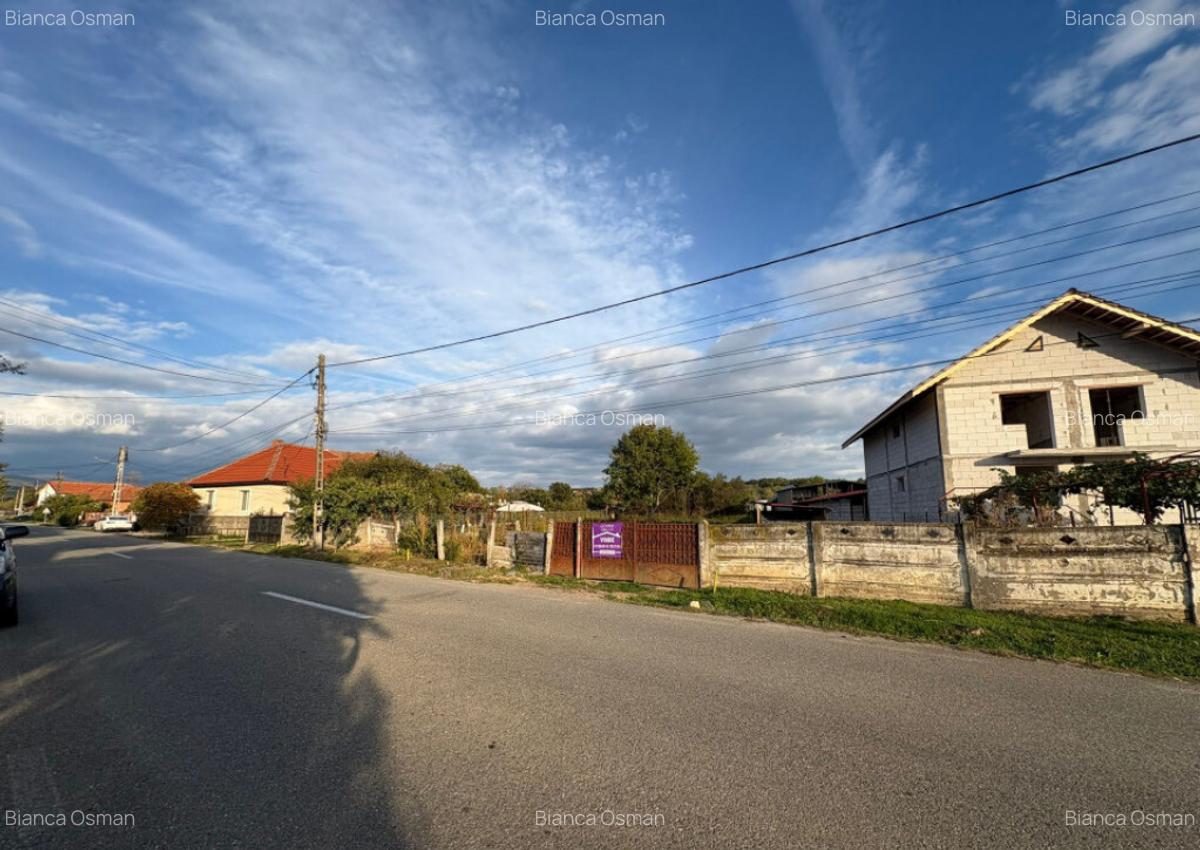 Teren 4449 mp cu utilitati, Curtisoara - la 13 km Tg. Jiu - 1