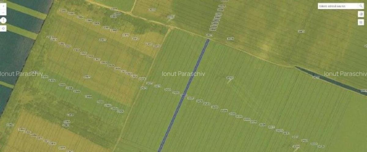 Teren extravilan Pogoanele, ID: R2586845 - 2