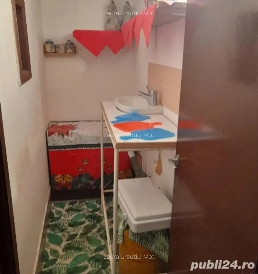 Casa in dealul Viilor Ineu - 3 Casa in dealul Viilor Ineu - 3