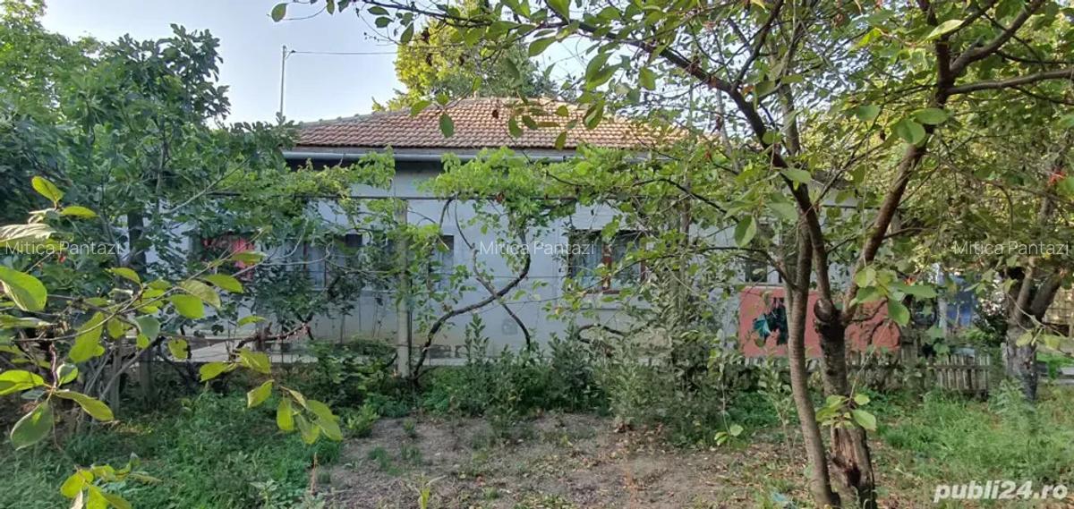 Vand casa ileana calarasi - 5