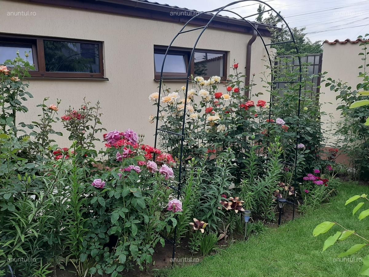 Chiajna, jud. Ilfov - 4