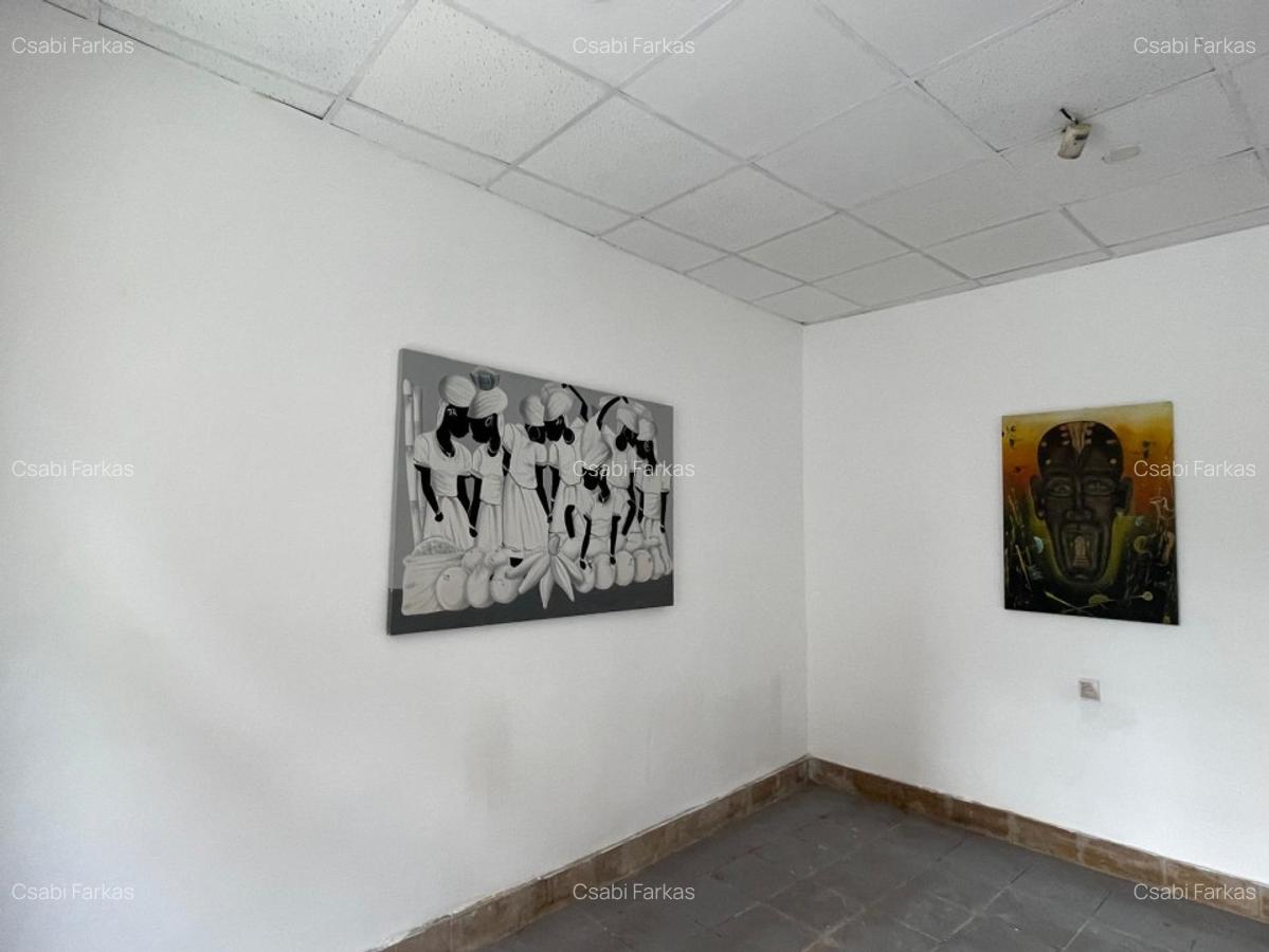 Casa cu 2 camere, 48mp, central - 7