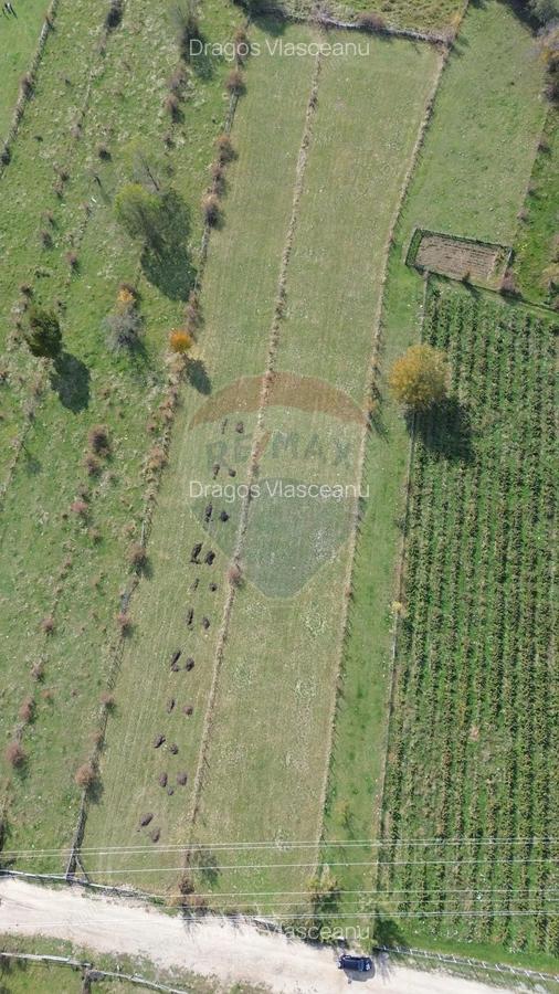 Teren de vanzare in Leresti - ideal pentru casa sau pensiune la munte - 13