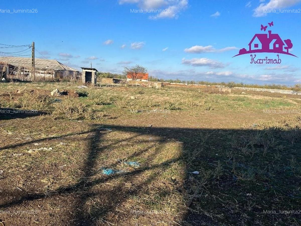 Teren industrial si o constructie pe structura metalica - 3