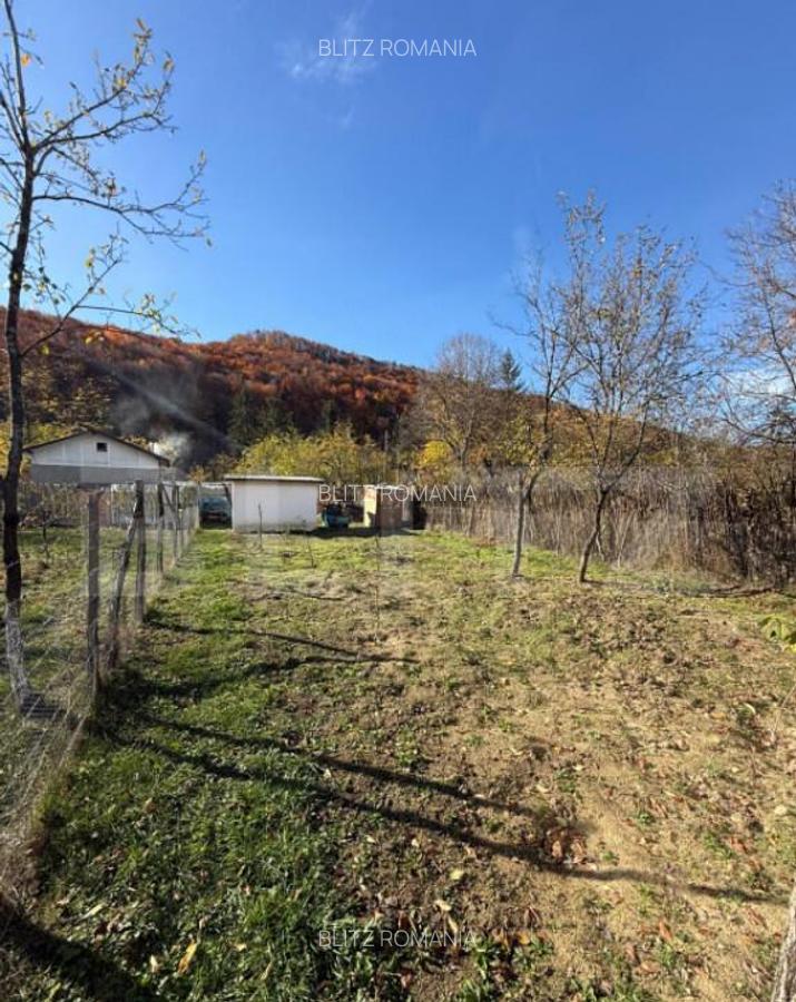 Teren intravilan 1500 mp, ideal pentru casa Iedera - 2 Teren intravilan 1500 mp, ideal pentru casa Iedera - 2